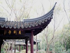 -上海佘山国家森林公园天马山园