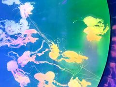 -成都浩海立方海洋公园