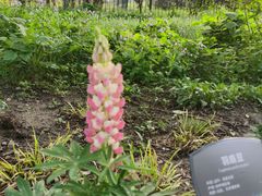 -国家植物园(地铁站)