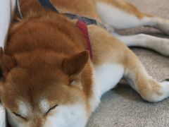 -三目仓咖啡(贤南路店)