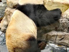 -上海野生动物园
