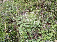 -宁波五龙潭景区