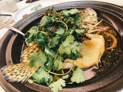 黑醋麻椒鳜鱼-悦湖公馆