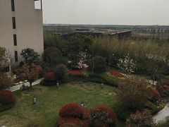 -上海崇明金茂凯悦酒店