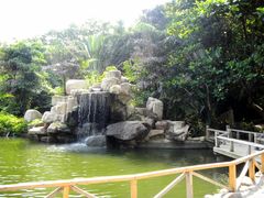 DSCN0842-三亚亚龙湾人间天堂鸟巢度假村