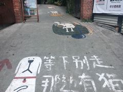 -有猫主题·治愈系猫咖(曾厝垵店)