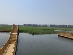 -白洋淀景区