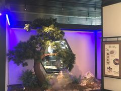 -绿茶餐厅(成都大悦城店)