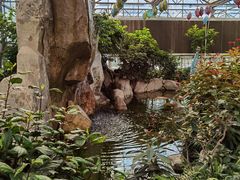 -南宫五洲植物乐园