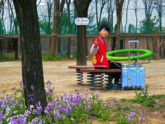 -圣露庄园·露营·烤肉·亲子