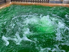 -春晖园度假酒店温泉