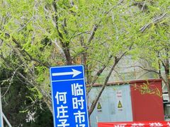 -何庄子阿米玛玛农产品批发市场