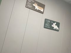 -半岛宠物医院24小时(科华中路店)
