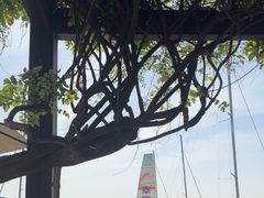 -望海·帆船主题咖啡厅•品茗下午茶(石湖景区店)