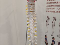 -脊地脊柱·运动康复·体态(汇海店)