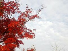 -苏州工学院(东湖校区)