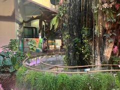-正佳雨林生态植物园