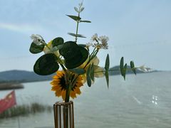 -湖山人家·湖景餐厅·特色农家菜(太湖西山店)