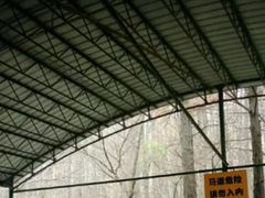 -共青国家森林公园-售票处
