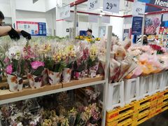 -山姆会员商店(亦庄创意生活广场店)