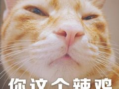 -上海交通大学医学院附属仁济医院(南院)