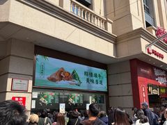 -沈大成(南京东路店)