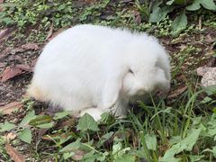 -三江森林温泉度假区