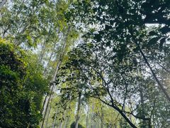 -水濂山森林公园