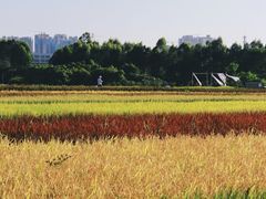 -光明小镇欢乐田园