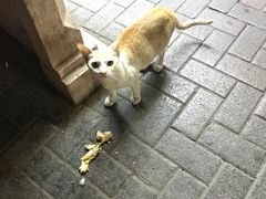 -迪拜黄金市场