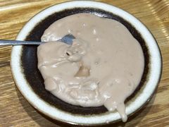 -海丝金凤(金鱼店)