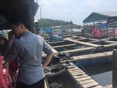 -海上驿站渔家菜馆