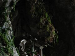 -东南悬空寺方广岩