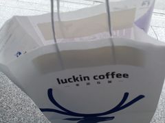 -瑞幸咖啡(中关村科贸电子城店)