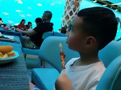 -瑞德姆美人鱼海底演艺主题餐厅(亚龙湾店)