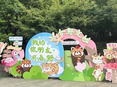 -合肥野生动物园
