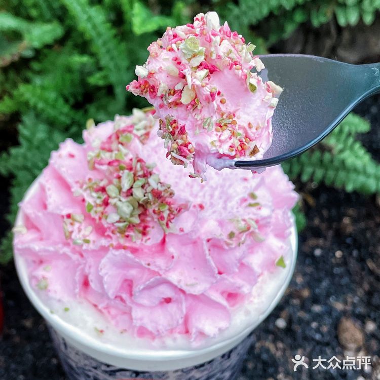 原叶鲜奶茶,喝出真茶味🍵