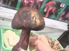 -野菌园·野生菌火锅首创第一家(关兴路总店)