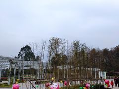 -黄龙溪欢乐田园