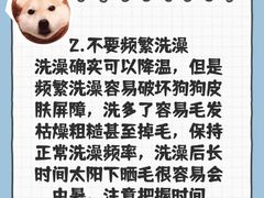 -爱侣·安琦尔宠物医院·中兽医针灸·心内科·狂犬免疫点(宝山区院)