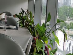 -鉴川·川菜传承(星汇两江店)