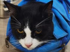 -荔康动物医院(康王北路店)