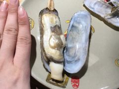 原汁蛏子-涛雒人家