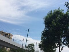 -石榴姐•山城小馆(创始店)