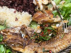 -沐毫傣泐云南菜孔雀宴•手抓饭傣味烧烤(曼听公园店)