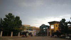 -Early Rider 儿童自行车(蓝色港湾店)