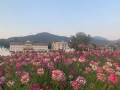 -玫瑰海岸文化旅游度假区