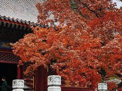 -水煮三国·川鲁江湖菜(香山店)