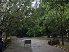 -梅州雁山湖国际花园度假区