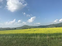-丰宁坝上草原